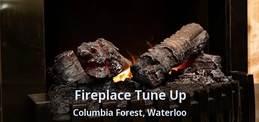 Fireplace Tune Up Columbia Forest, Waterloo - ON