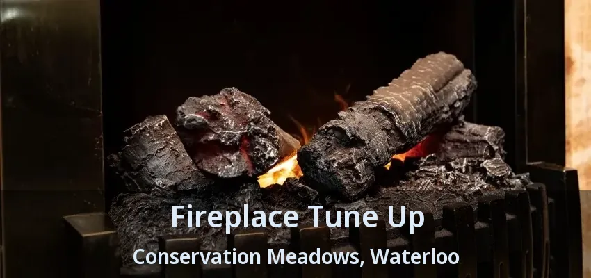 Fireplace Tune Up Conservation Meadows, Waterloo - ON