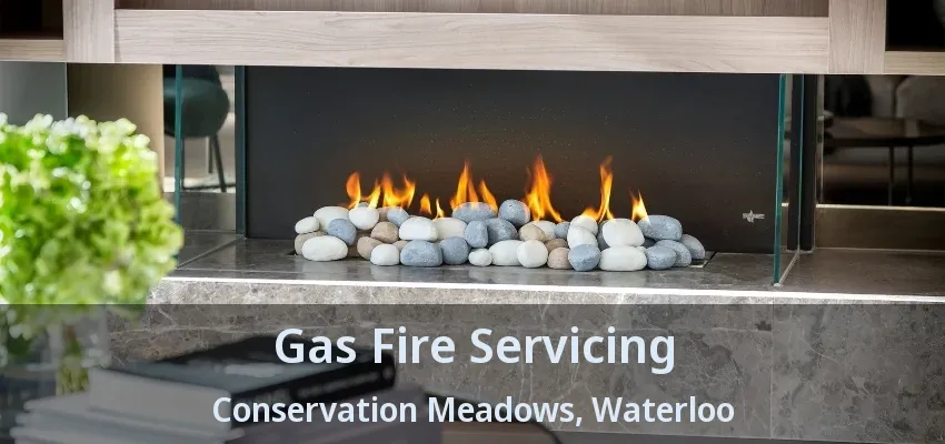 Gas Fire Servicing Conservation Meadows, Waterloo - ON