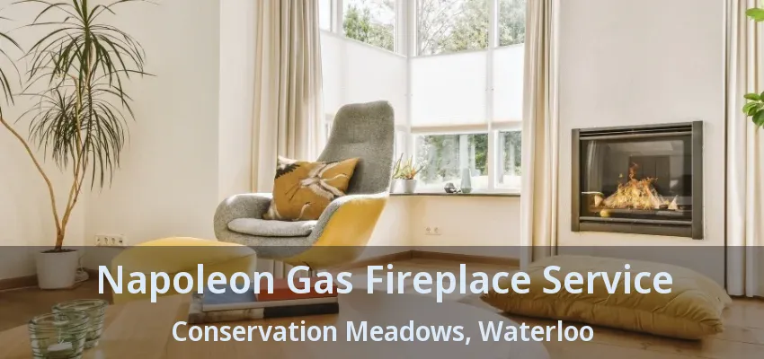Napoleon Gas Fireplace Service Conservation Meadows, Waterloo - ON