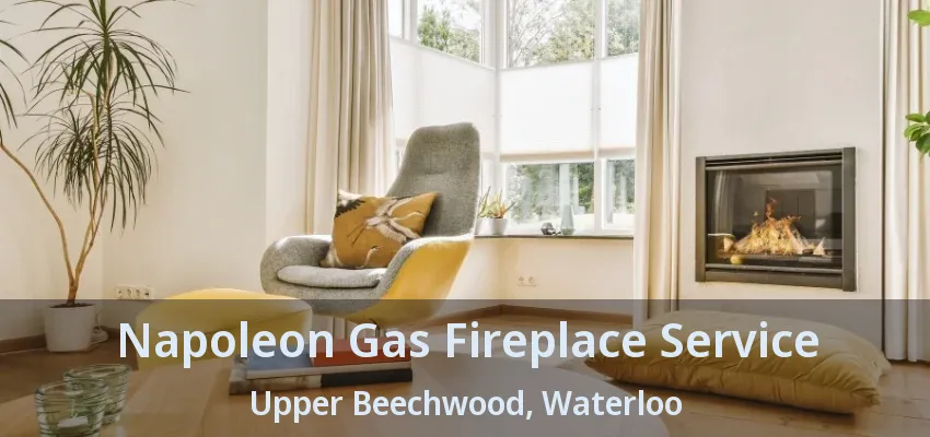 Napoleon Gas Fireplace Service Upper Beechwood, Waterloo - ON Napoleon Gas Fireplace Service Upper Beechwood, Waterloo - ON