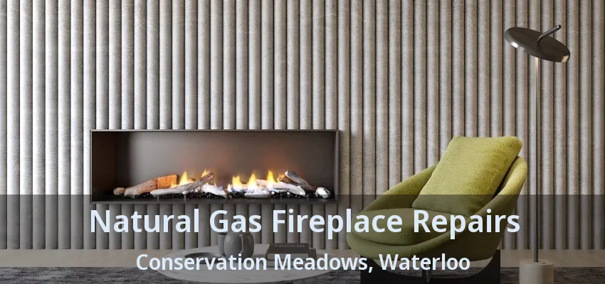 Natural Gas Fireplace Repairs Conservation Meadows, Waterloo - ON Natural Gas Fireplace Repairs Conservation Meadows, Waterloo - ON
