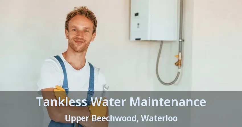 Tankless Water Maintenance Upper Beechwood, Waterloo - ON