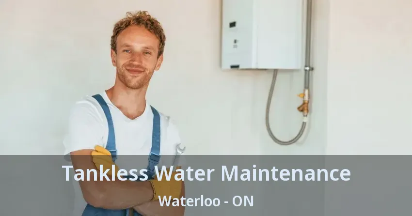 Tankless Water Maintenance Waterloo - ON